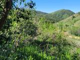 11607 Middle Fork Dr - Photo 3