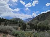 11607 Middle Fork Dr - Photo 4