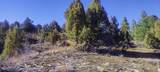 5 Acres Francis St - Photo 5