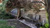 3198 Julia Ln - Photo 30