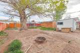 325 Peach - Photo 32