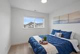 3706 Cuade St - Photo 18