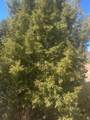 39775 6820 - Photo 70
