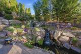 14116 Timber Ridge Dr - Photo 44