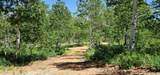 7347 Jim Bridger Dr - Photo 12