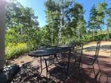 7347 Jim Bridger Dr - Photo 3