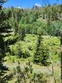 5041 Cougar Ln - Photo 6