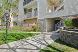 3833 Big River Way - Photo 2