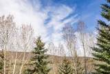 3002 Canyon  Link Dr - Photo 19