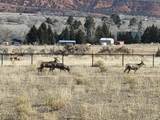 8551 Sawtooth Park Dr - Photo 47