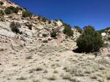 8 Red Cliff Cir - Photo 8