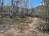 11626 Sunridge Cir - Photo 3