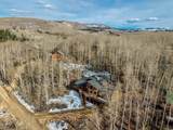 11456 Columbine Ln - Photo 38
