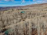 11456 Columbine Ln - Photo 40