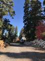 23465 Thads Peak - Photo 12