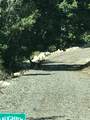 23465 Thads Peak - Photo 13