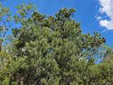 300 Sky Crest Dr - Photo 13