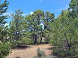 300 Sky Crest Dr - Photo 15