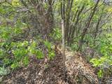 300 Sky Crest Dr - Photo 3