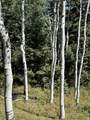 1456 Navajo Rd - Photo 39