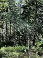 1456 Navajo Rd - Photo 50
