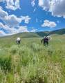 25 Stansbury Agricultural Propert - Photo 7