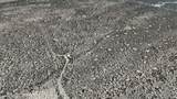 554 9700 - Photo 8
