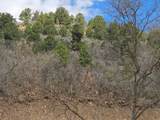 53 Birch Creek Dr - Photo 10