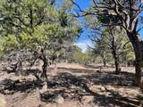 1841 Upper Happy Valley Loop - Photo 16
