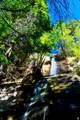 1841 Upper Happy Valley Loop - Photo 9