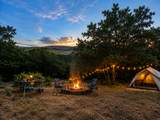 123 Spring Hollow - Photo 13