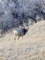 123 Spring Hollow - Photo 7