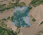 123 Spring Hollow - Photo 9