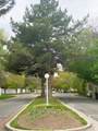 1457 Coastal Ct - Photo 3