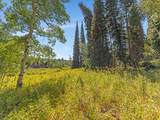 4403 Fawn Way - Photo 4