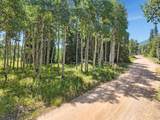 4403 Fawn Way - Photo 5