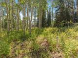4403 Fawn Way - Photo 6