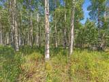 4403 Fawn Way - Photo 7