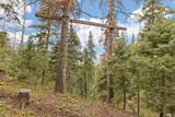 106 Sugar Pine Dr - Photo 58