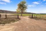 2275 Pine Rd - Photo 116