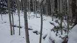 28 Fawn Rd - Photo 6