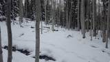 28 Fawn Rd - Photo 7