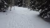 28 Fawn Rd - Photo 8