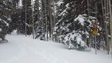 28 Fawn Rd - Photo 9