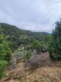 71 Sky Hvn - Photo 4