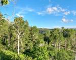 53 Deer Valley Dr - Photo 6