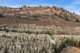 198 White Pine Canyon Rd - Photo 18