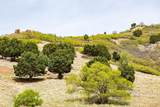 7141 City View Dr - Photo 8