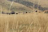 7900 300 - Photo 21