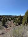 4129 Uintah Dr - Photo 2